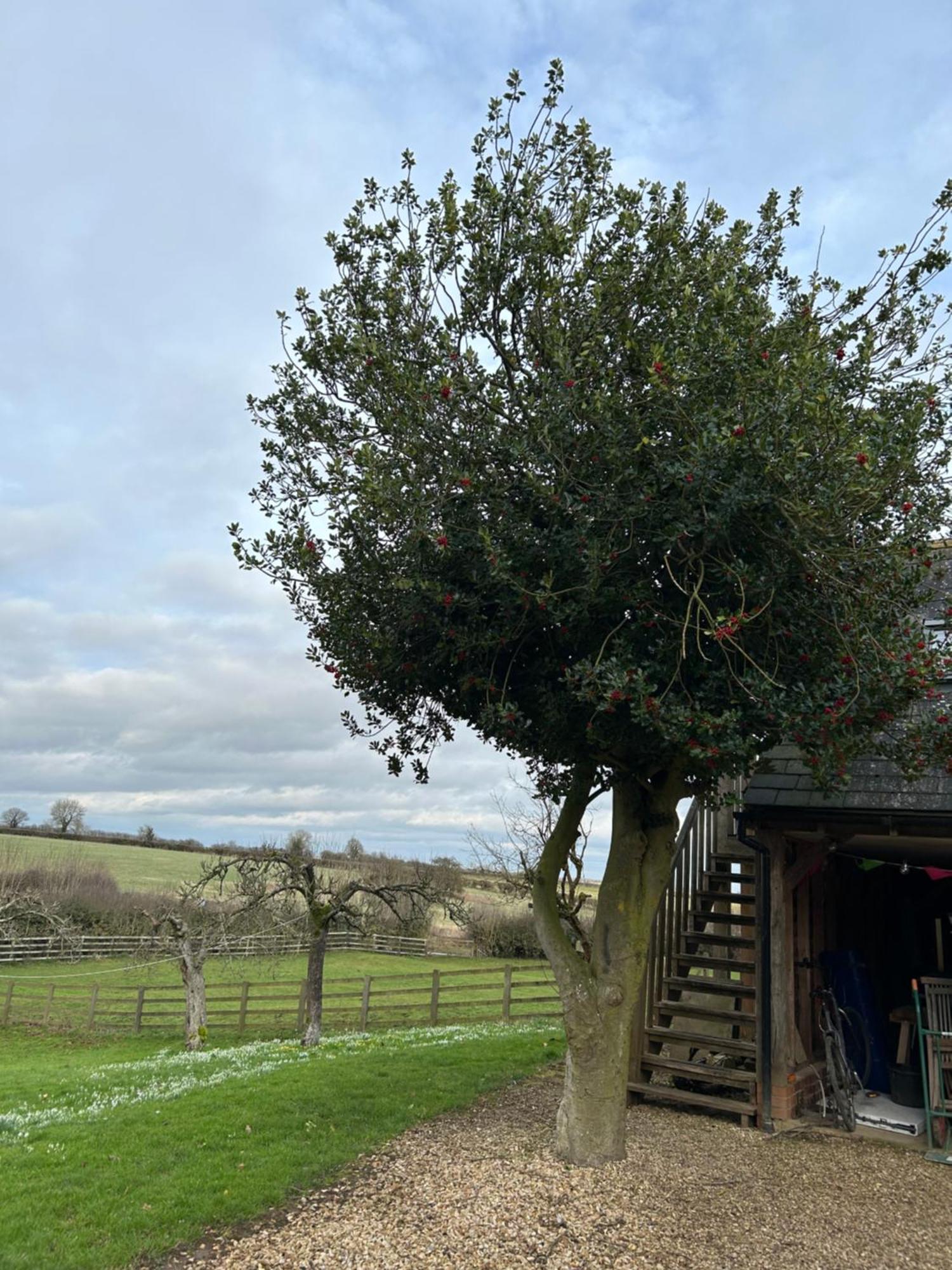 The Studio, Bottom Farm Bed & Breakfast Grantham Bagian luar foto